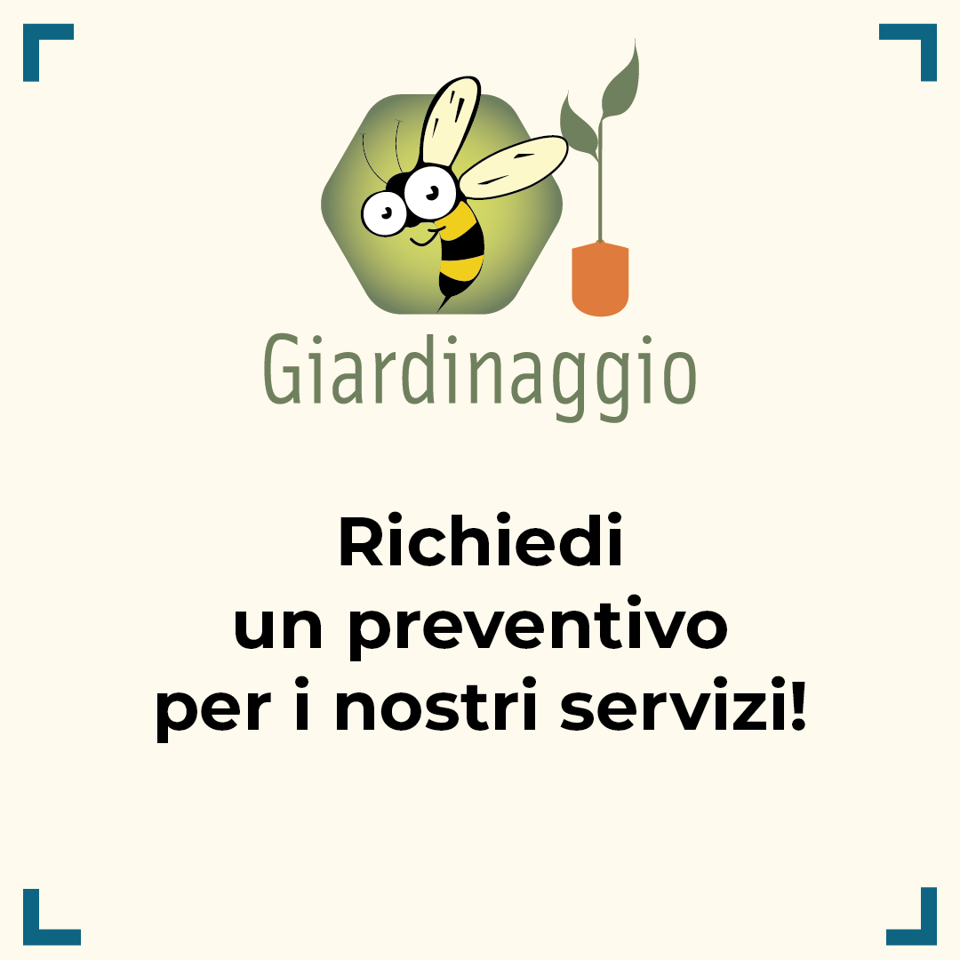 giardinaggio_Tavola disegno 1